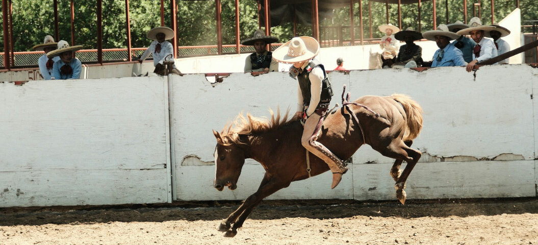 Reiter auf einem Pferd. Das Pferd ist wütend.