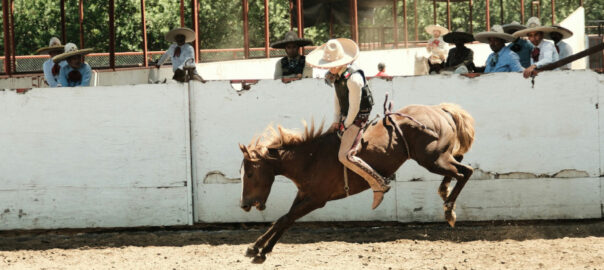 Reiter auf einem Pferd. Das Pferd ist wütend.