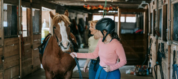Pferd wird aus dem Pferdestall geführt