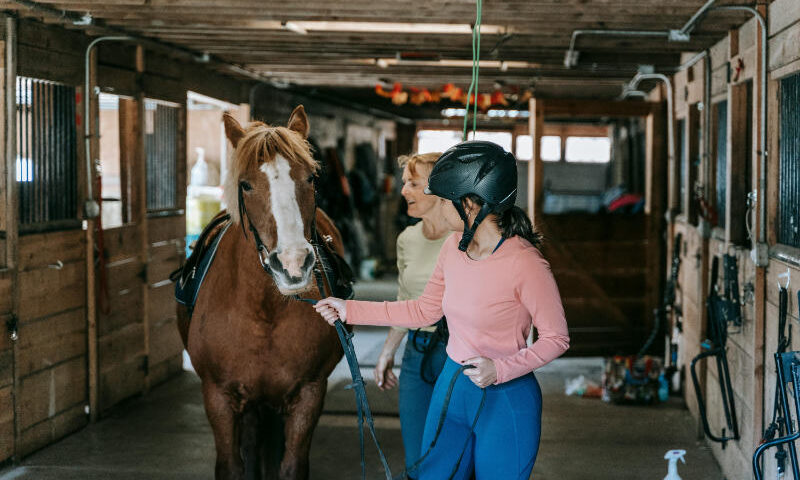 Pferd wird aus dem Pferdestall geführt