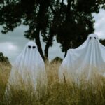 Geister auf der Wiese - Geister GmbH