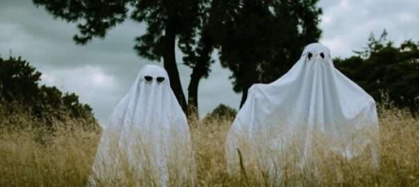 Geister auf der Wiese - Geister GmbH