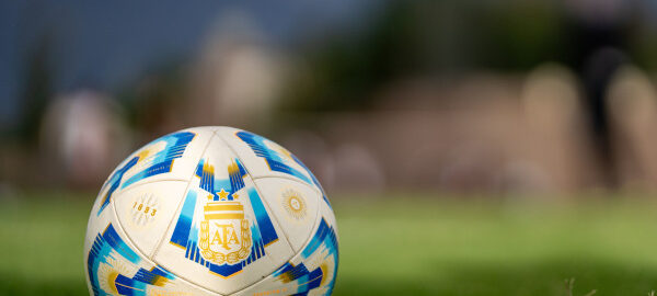 Fußball mit Logo auf einem Rasen.