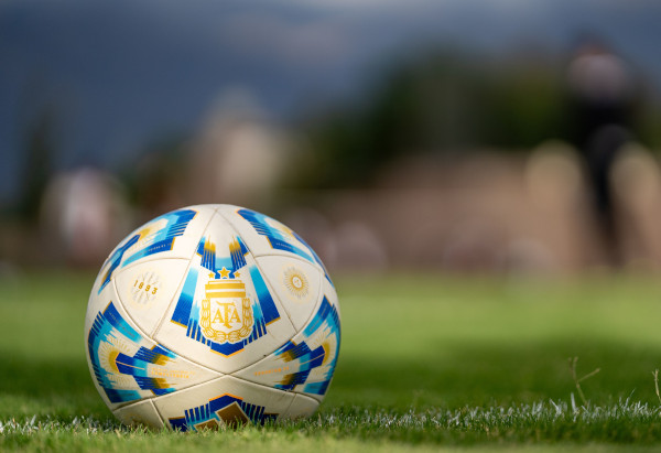 Fußball mit Logo auf einem Rasen.